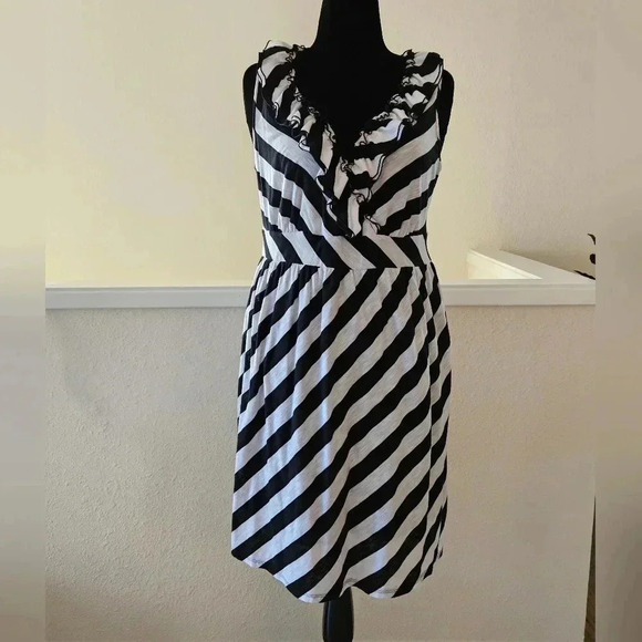 INC International Concepts Dresses & Skirts - INC International Concepts Black and White Stripe Knee Length Dress - Size 1X